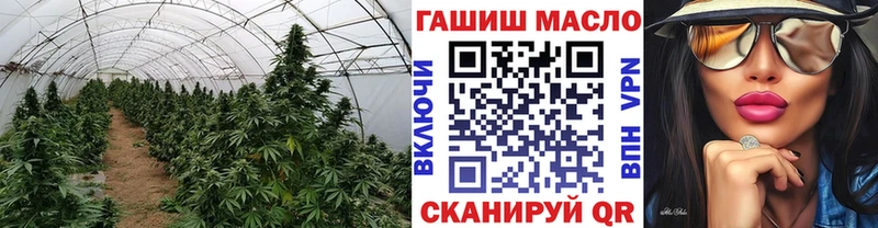Дистиллят ТГК гашишное масло Купить закладки Тюкалинск