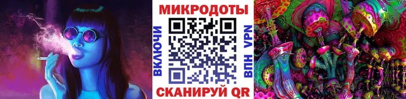 Купить где  Тюкалинск  Псилоцибиновые грибы мицелий 